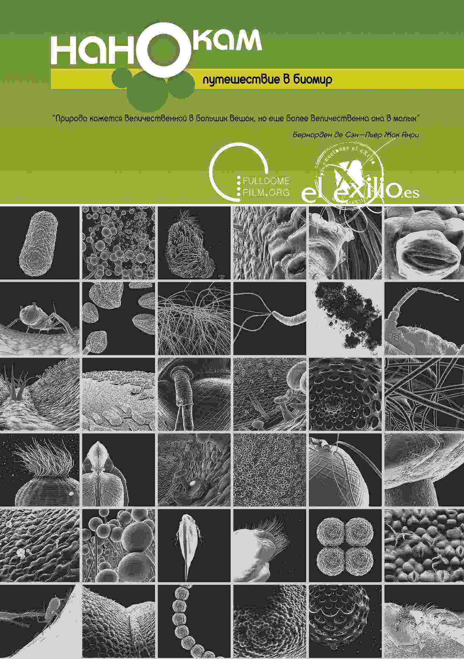 Нанокам - Путешествие в биомир